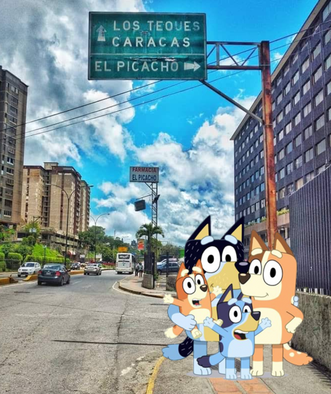 Los Heelers en San Antonio de Los Altos