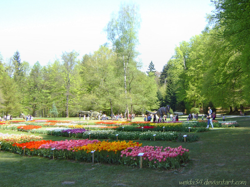 Dinos and tulips