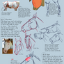 How To Draw Horses Tutorial