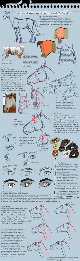 How To Draw Horses Tutorial