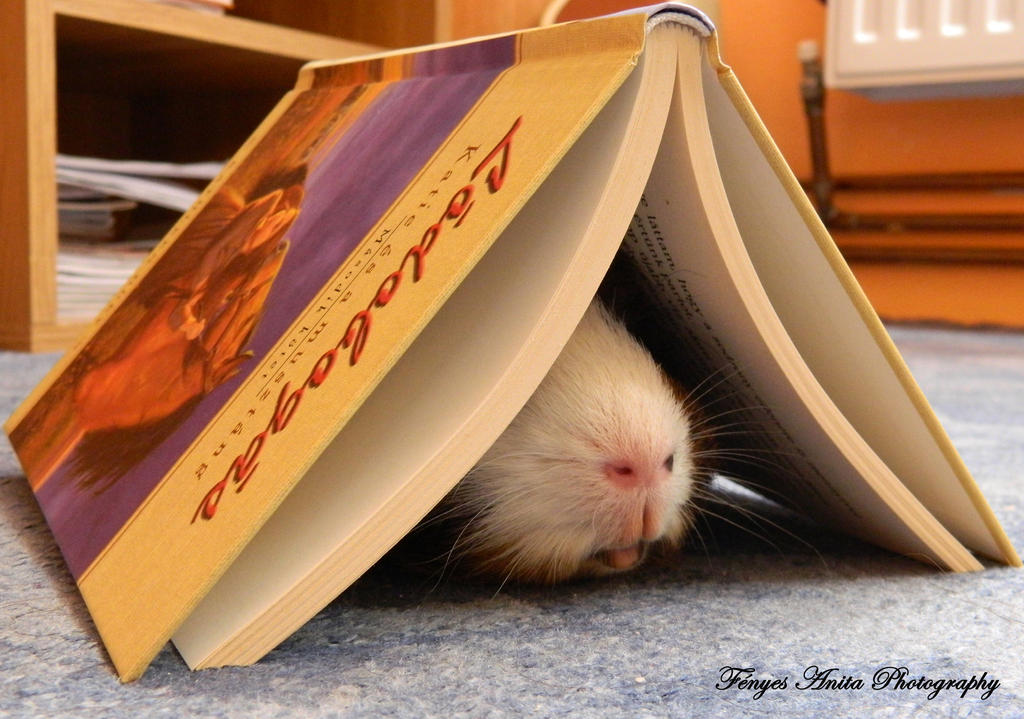 He loves reading