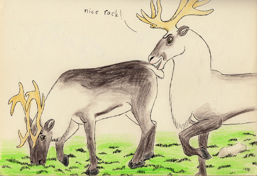 Reindeer Mating by DinosaurianDude on DeviantArt Reindeer Mating by DinosaurianDude on DeviantArt