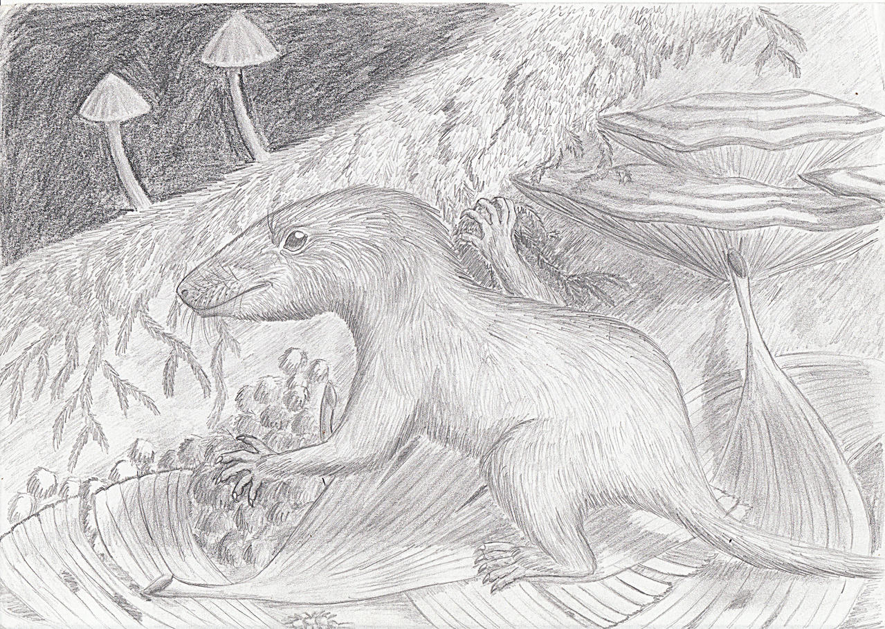 Morganucodon On The Forest Floor By Dinosauriandude On
