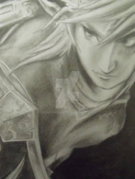 THE LEGEND OF ZELDA: TWILIGHT PRINCE LINK PORTRAIT