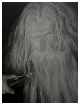 IAN MCKELLEN GANDALF THE GREY PORTRAIT