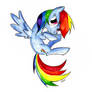 Dashie!!