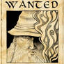 Wanted- Gandalf LotR