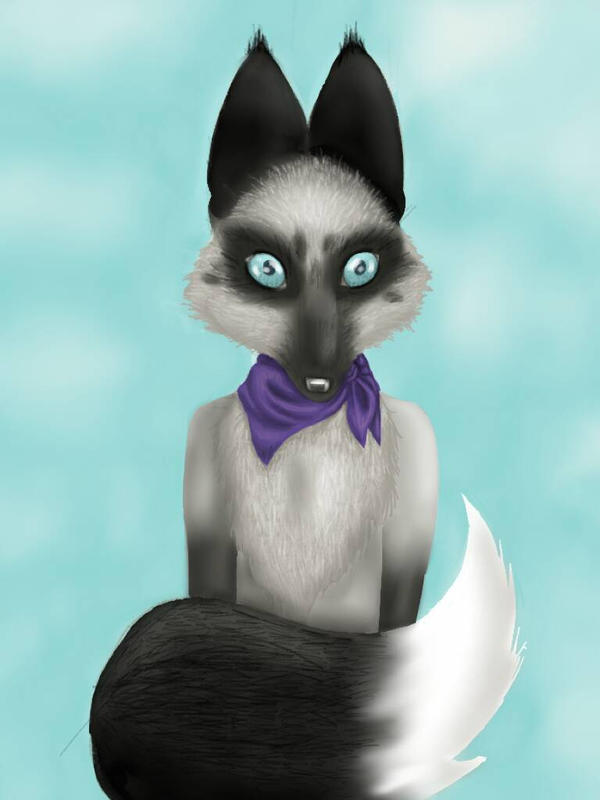 Deviantart Limber Fox silver fox by formativefox on DeviantArt