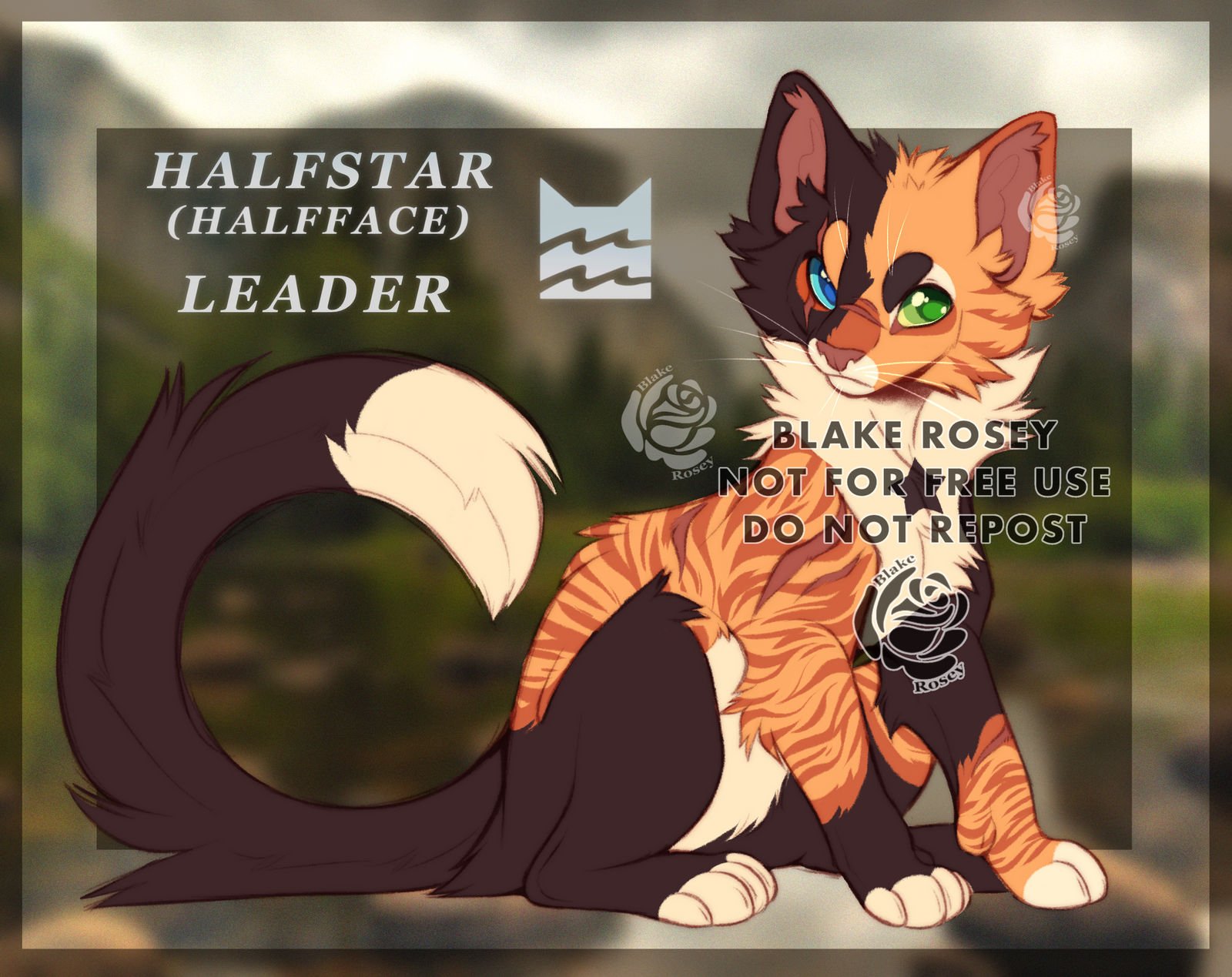 || Halfstar | WARRIOR CAT OC by Blake-Rosey on DeviantArt