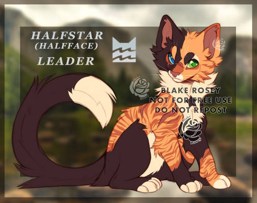 pic Ultimate Edition Warrior Cat Oc Ideas warrior cats ultimate edition oc ideas
