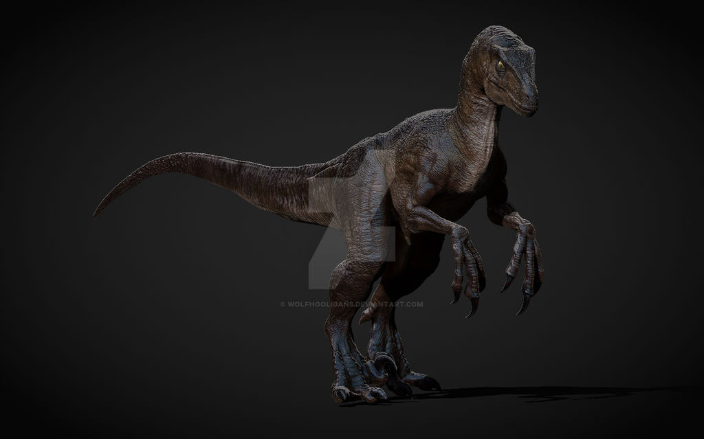Big One Raptor jurassicKingdom DeviantArt Gallery