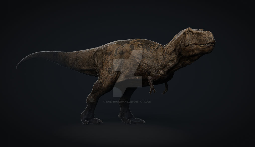 Tyrannosaurus rex Wip by Wolfhooligans on DeviantArt