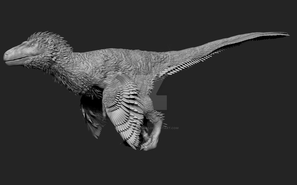 Dko Raptor dakotaraptor by Wolfhooligans on DeviantArt