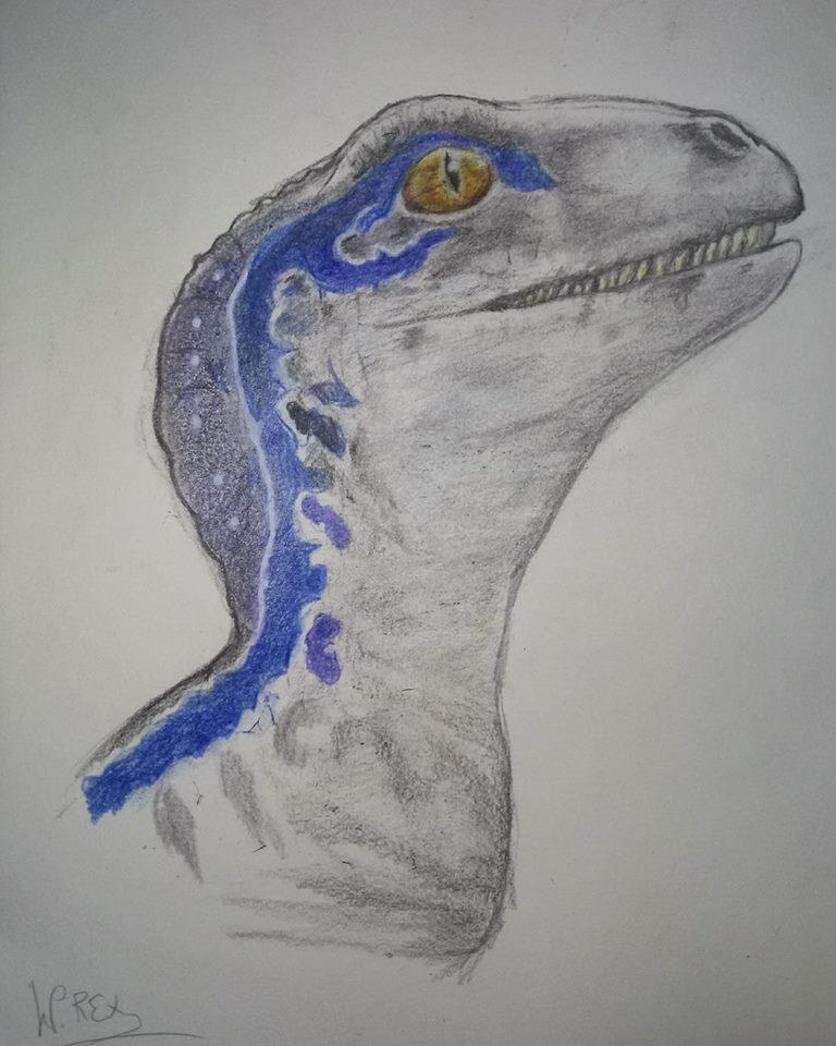 Baby Blue Draw By Wolfhooligans On Deviantart Baby Blue Draw By Wolfhooligans On Deviantart