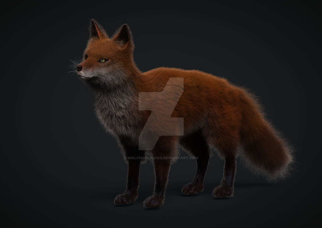 Red Fox by Wolfhooligans on DeviantArt