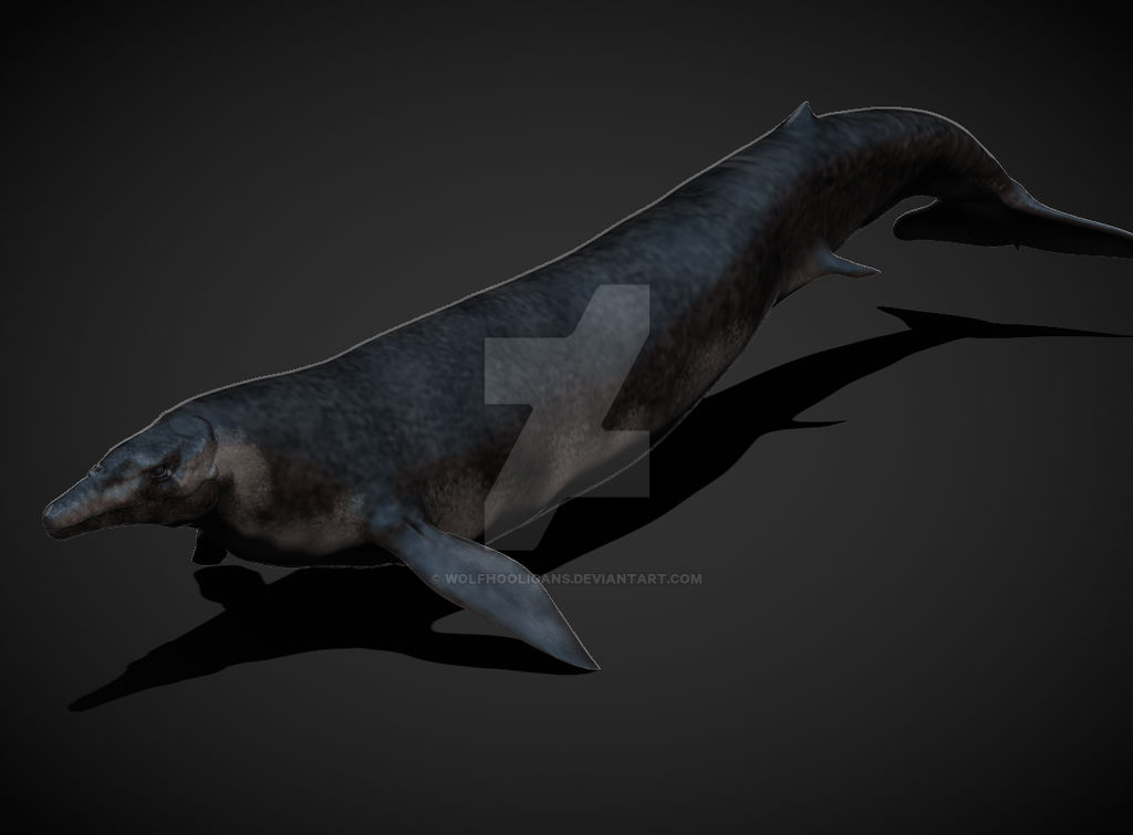 Basilosaurus Deviantart Basilosaurus by Wolfhooligans on DeviantArt