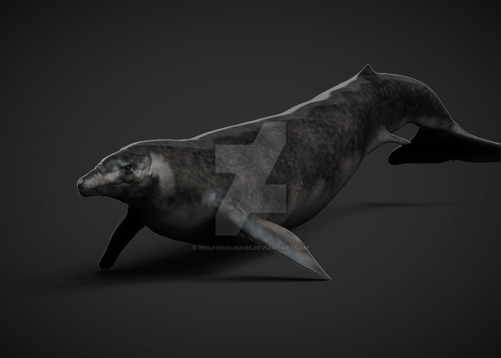 Basilosaurus Deviantart Basilosaurus by Wolfhooligans on DeviantArt