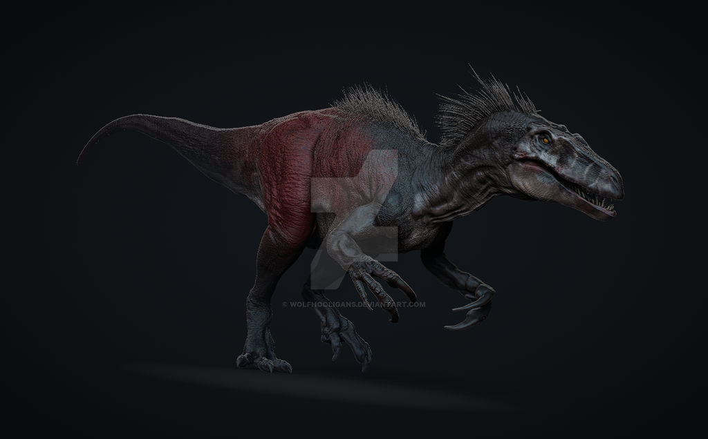 Megaraptor by Wolfhooligans on DeviantArt