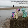 Lyra and Bon Bon at Dymchurch beach