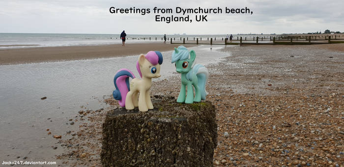 Lyra and Bon Bon at Dymchurch beach