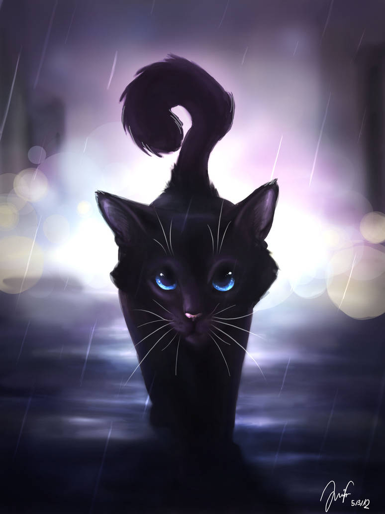Аватарка кошечка. Коты Воители ночная звезда. Ночная звезда коты Воители арт. Чёрная кошка арт коты Воители. Коты Воители Беззвездная ночь.