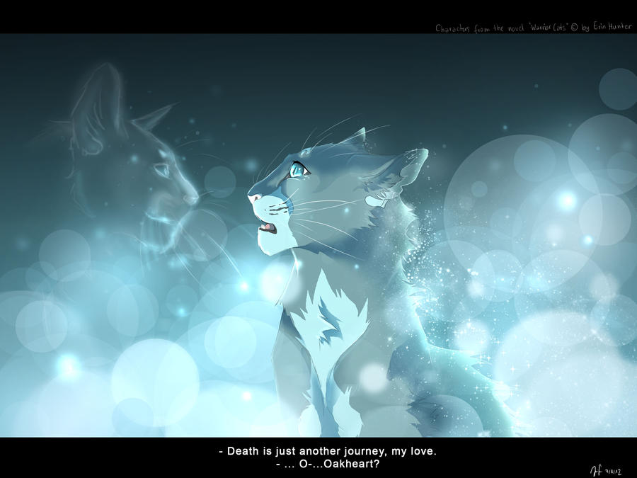 Thunderclan On Into Warrior Cats Deviantart Thunderclan On Into Warrior Cats Deviantart