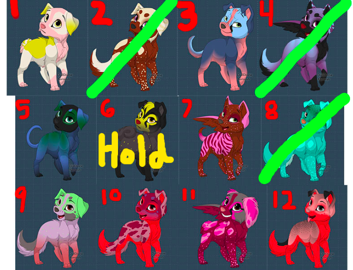 CHEAP DOG ADOPTS - OPEN - (COLORFUL)