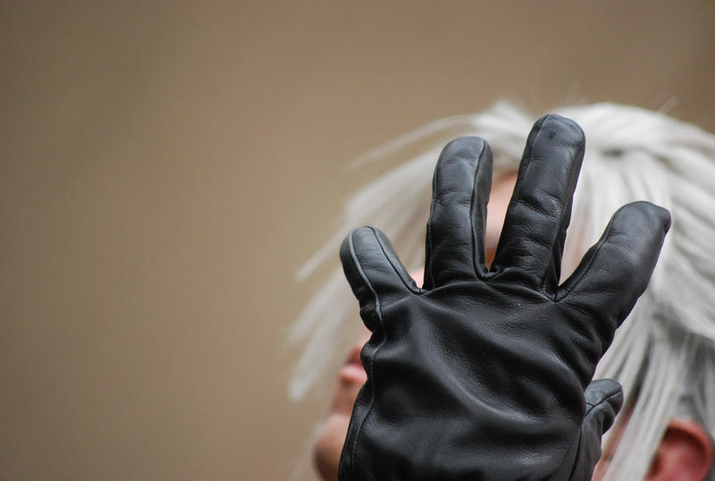 Acen '09 - Xemnas other hand