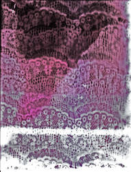 Digitally manipulated lace 4