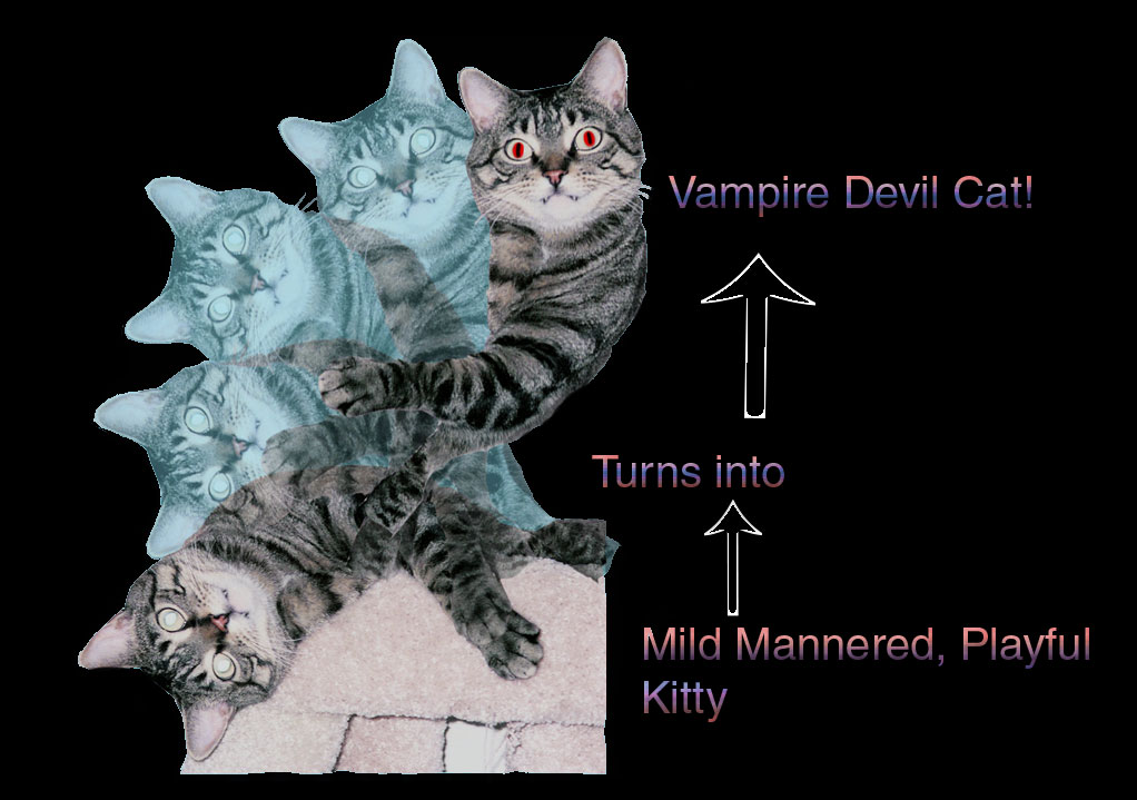 Cute Spazz - Vampire Devil Cat