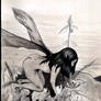 ninfa