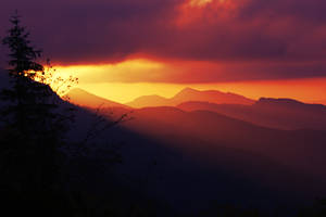 sunset over the meadow by Mortsnort