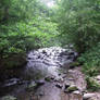 Pretty Exmoor Stream