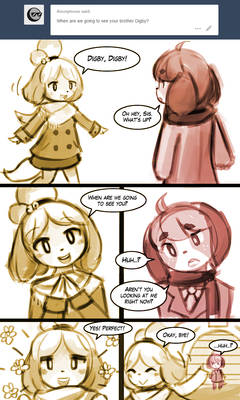 Ask Isabelle - Seeing Digby