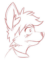 Profile sketch