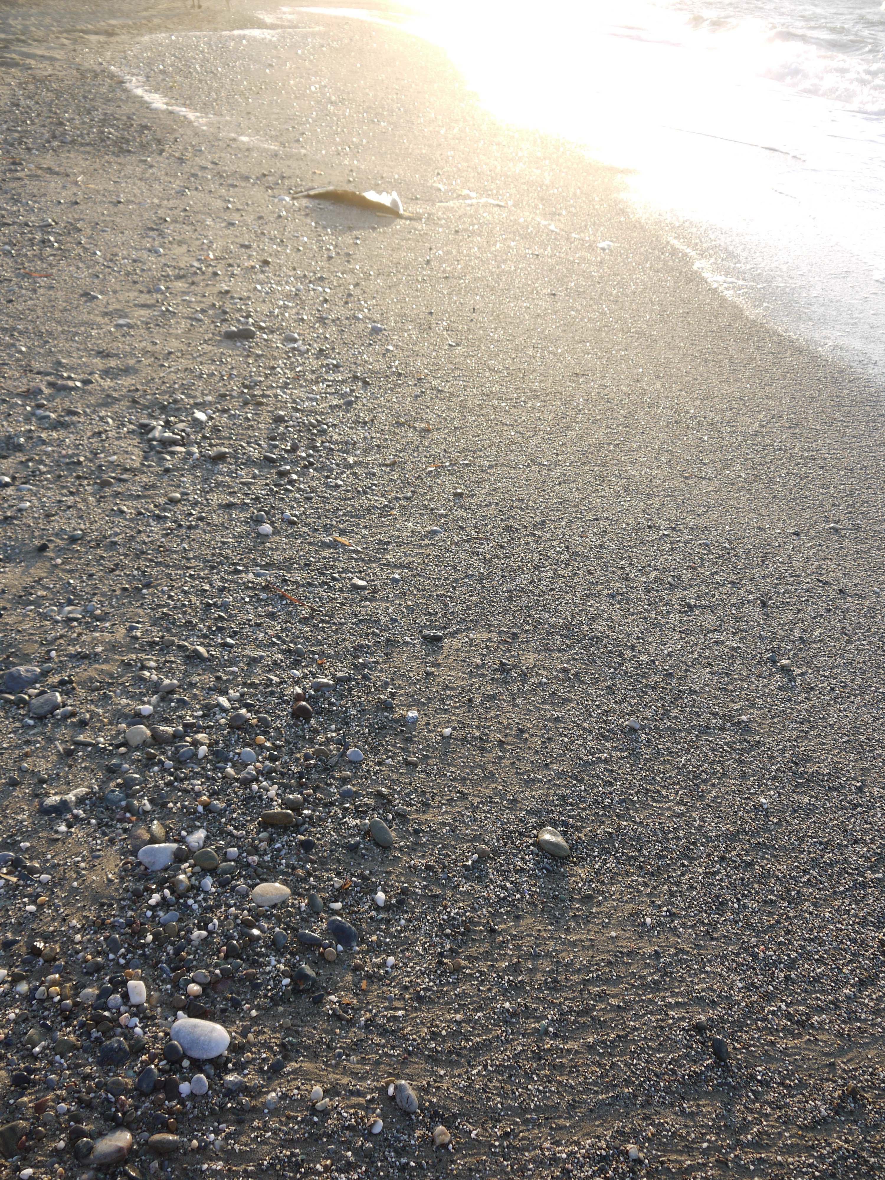 Glowing Beach