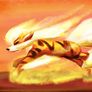 Arcanine