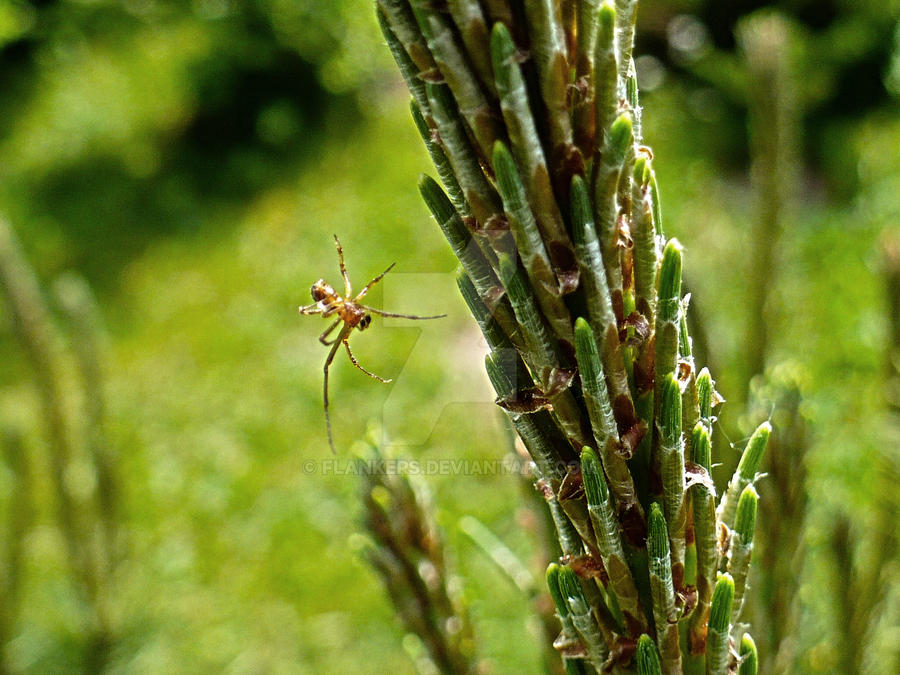 Rappelling spider by flankers on DeviantArt