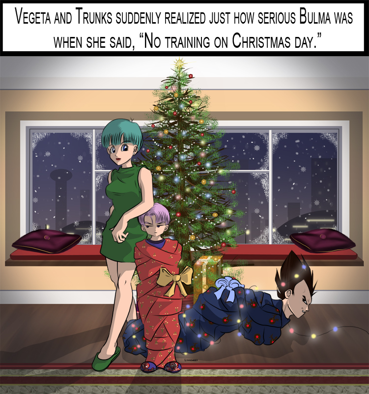 Bulma's Christmas Message