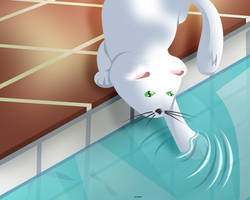 Catswim study