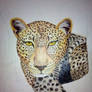 Leopard WIP