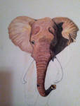 African Elephant WIP 2 by Supach