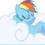 Sleeping Dashie