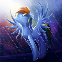 Rainy Dash