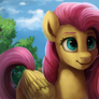 Fluttershy + speedpaint