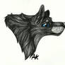 Black Wolf .:sketch:.