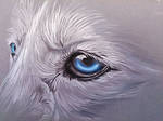 wolf eye sketch