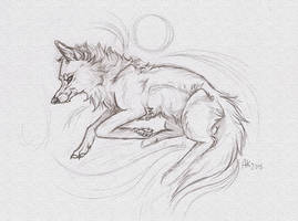 Wolf sketch