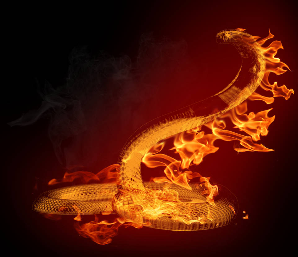 Змея в огне. Огненная саламандра красная. Огненный змей Пандемониум. Огненная саламандра символ. Шестилапая саламандра.