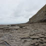 Rocky Coast Stock